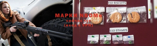 прущие грибы Пересвет