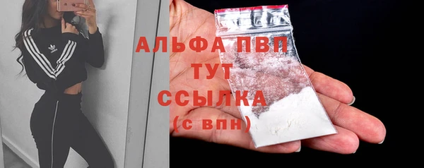 прущие грибы Пересвет