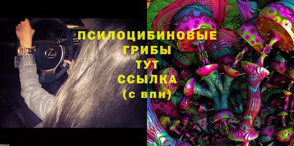 сатива Осташков