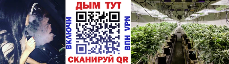 Бошки Шишки MAZAR  где найти   МЕГА маркетплейс  Кораблино 